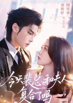 今天裴总和夫人复合了吗