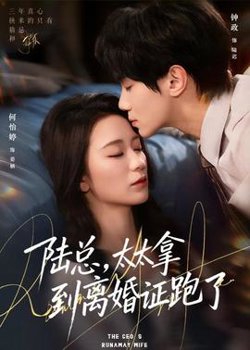 陆总，太太拿到离婚证跑了高清播放