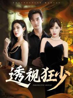 透视狂少高清播放