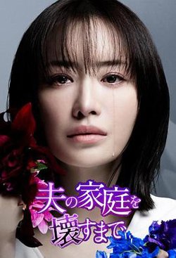 直到破坏了丈夫的家庭高清播放