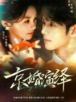 京婚演绎高清播放