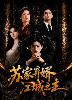 苏家弃婿,江城之主高清播放