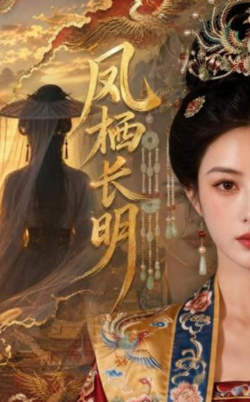 凤栖长明在线观看