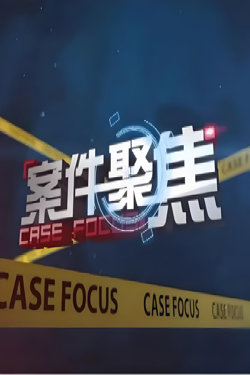 案件聚焦在线观看