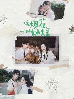 像烟花一样灿烂在线观看