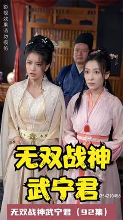 无双战神武宁君在线观看