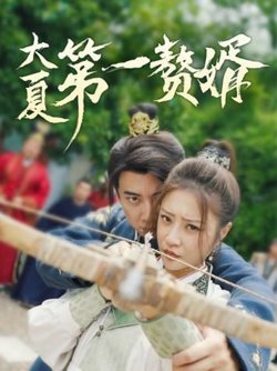 大夏第一赘婿高清播放
