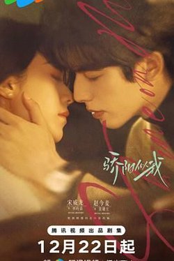 骄阳似我(2025)