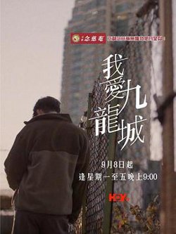我爱九龙城粤语在线观看