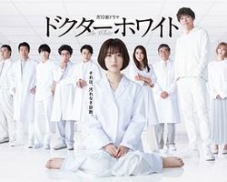 白夜医生高清播放