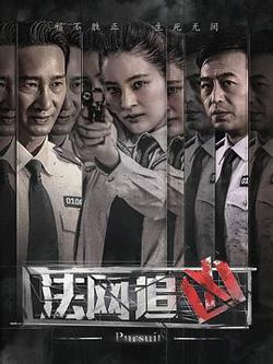 法网追凶高清播放