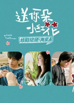 送你一朵小红花 · 特别纪录最终集在线观看