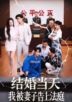 结婚当天我被妻子告上法庭在线观看