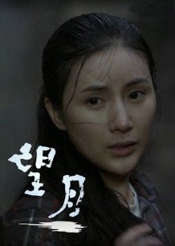 望月高清播放