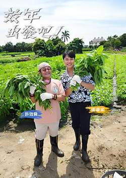 效年出发吧!高清播放