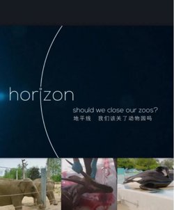 BBC地平线：我们该关了动物园吗？高清播放