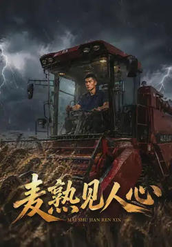 麦熟见人心