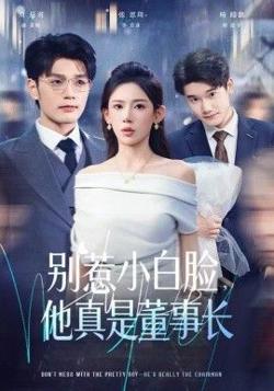 别惹小白脸，他真是董事长在线观看