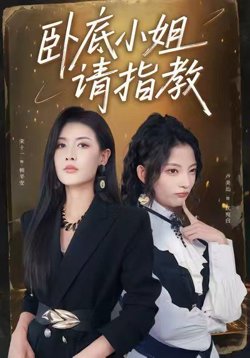 卧底小姐请指教高清播放