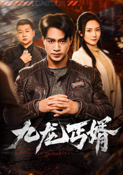 九龙丐婿在线观看