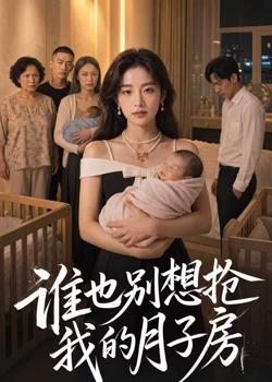 谁也别想抢我的月子房高清播放