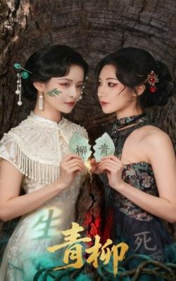 青柳短剧版高清播放