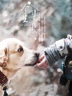 今生请多指教第三季高清播放