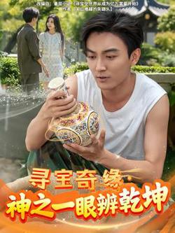 寻宝奇缘，神之一眼辨乾坤高清播放