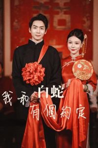 我和白蛇有个约定在线观看