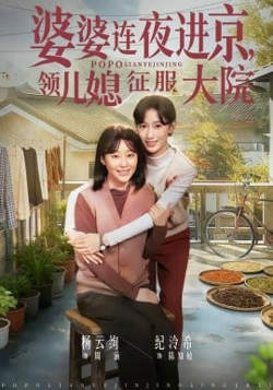婆婆连夜进京,领儿媳征服大院