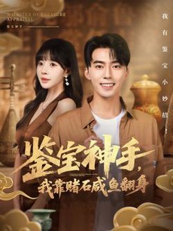 鉴宝神手，我靠赌石咸鱼翻身高清播放