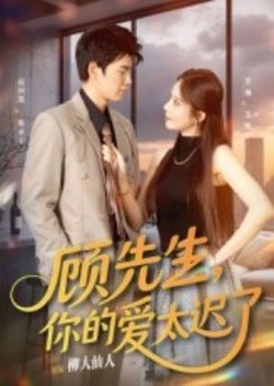 顾先生你的爱太迟了在线观看