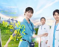 在勿忘草盛开的城镇～安昙野诊疗记～高清播放