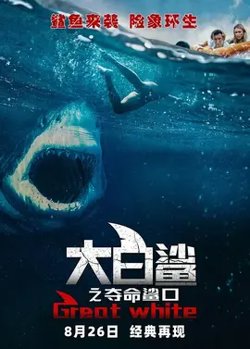 大白鲨之夺命鲨口【影视解说】高清播放