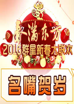 名嘴贺岁高清播放