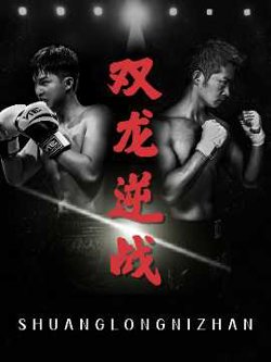 双龙逆战＆拳王之父子双龙在线观看