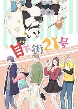 目下街21号在线观看