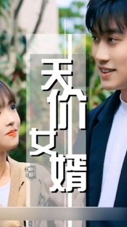 天价女婿高清播放