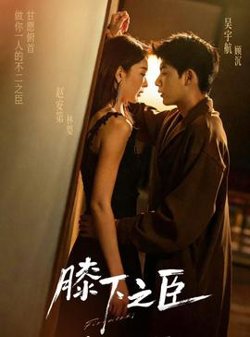 膝下之臣在线观看