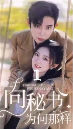 向秘书为何那样在线观看