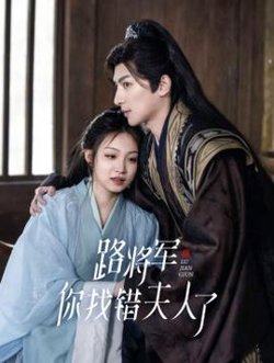 路将军，你找错夫人了高清播放