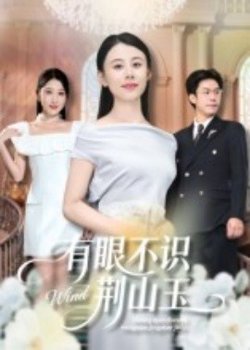 有眼不识荆山玉高清播放