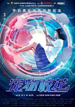 宠物校花高清播放