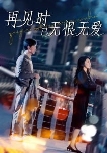 再见时已无恨无爱在线观看