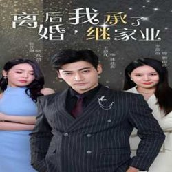 离婚后，我继承了家业在线观看