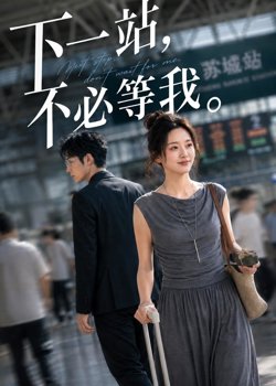下一站,不必等我在线观看
