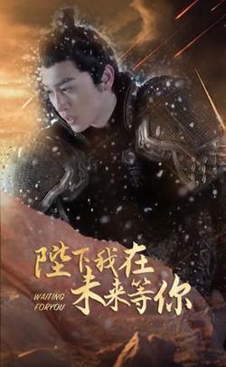 陛下我在未来等你高清播放