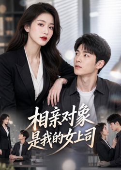 相亲对象是我的女上司高清播放