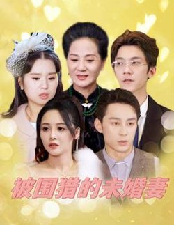 被围猎的未婚妻高清播放