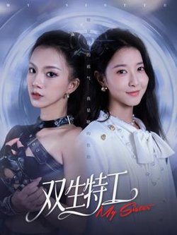 双生特工高清播放